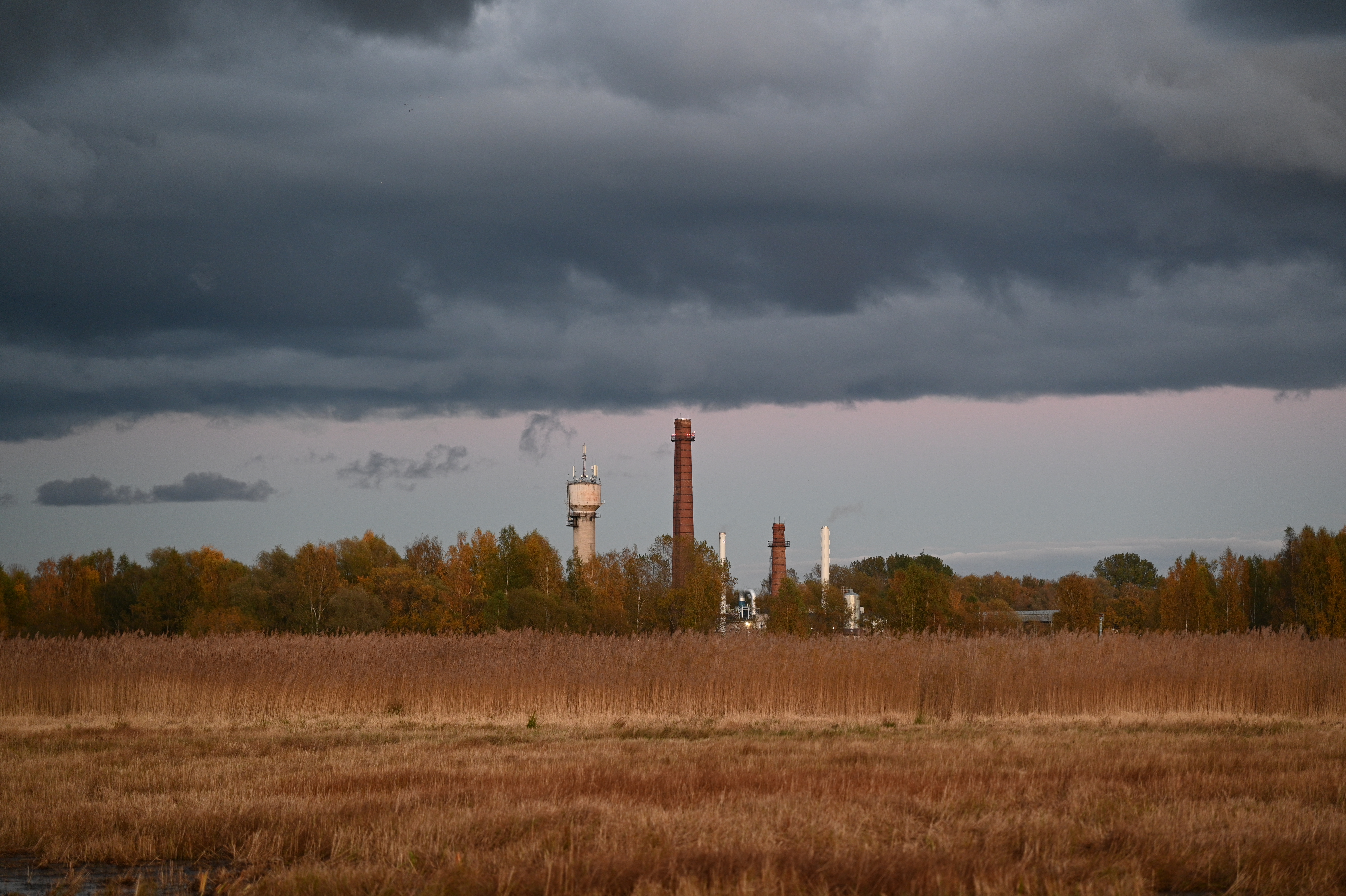 2025/10/18 - walk/DSC_0560.JPG